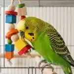 A bright green and yellow budgerigar playing with a colorful wooden toy inside a spacious birdcage
