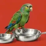 Illustration of a parrot near a kitchen with stainless steel pans against a solid warm red background