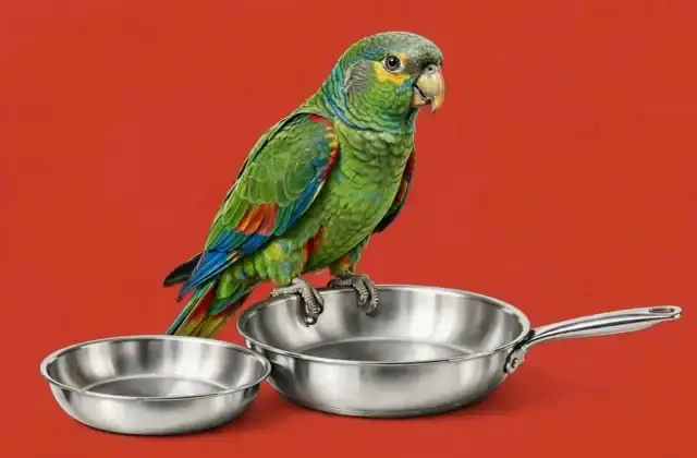 Illustration of a parrot near a kitchen with stainless steel pans against a solid warm red background