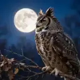 A great horned owl with ear tufts perched on a bare branch against a full moon at dusk